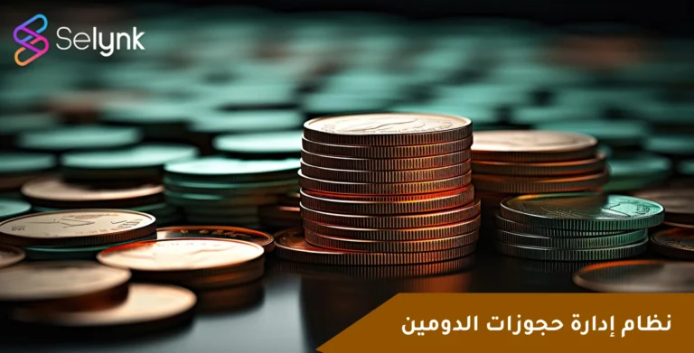 حجز دومين- شركة Selynk